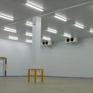 IMG-20240821-WA0003