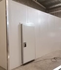 WhatsApp Image 2024-08-06 at 12.56.32_4564afa4