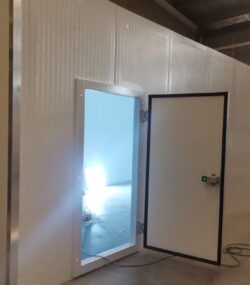 WhatsApp Image 2024-08-06 at 12.56.33_b39e0ec3