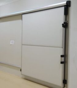 WhatsApp Image 2024-08-06 at 12.56.22_65e85526