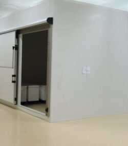 WhatsApp Image 2024-08-06 at 12.56.24_96b394e0