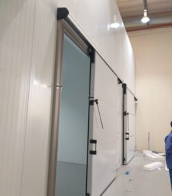 WhatsApp Image 2024-08-06 at 12.56.26_85b7ee34